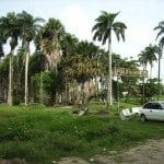 suriname